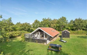Beautiful Home In Skjern With Wifi